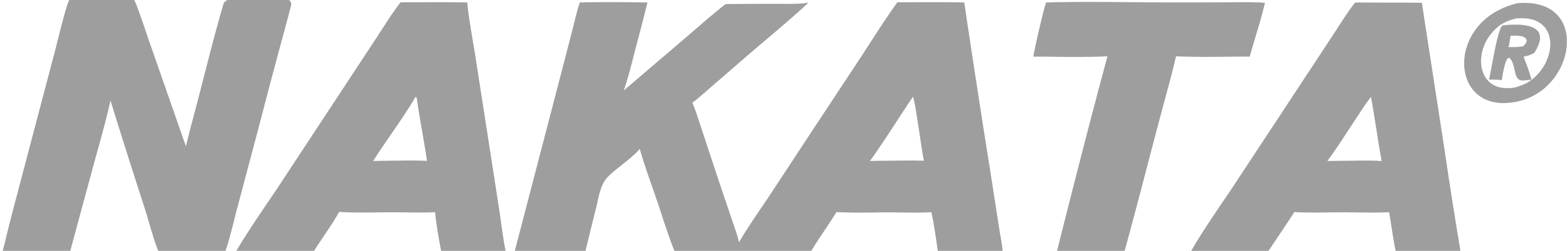 Logo Nakata